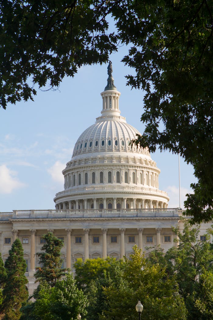 The Famous United States Capitol in Washington